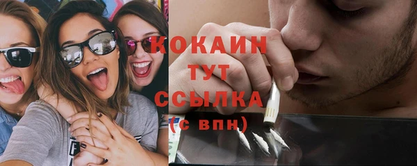 МДПВ Богородицк