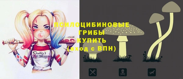 марки lsd Богданович