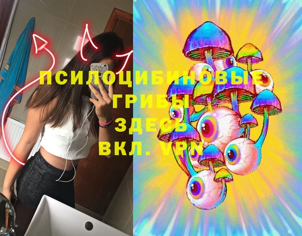 МДПВ Богородицк