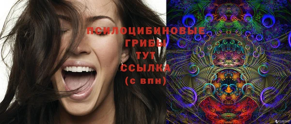 MDMA Богородск