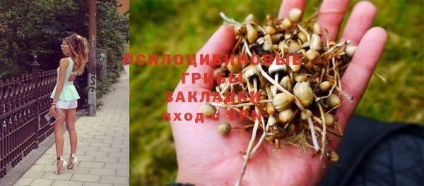 МДПВ Богородицк