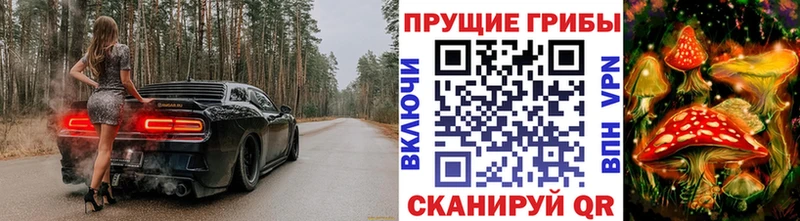 как найти закладки hydra зеркало Псилоцибиновые грибы мухоморы Кондрово